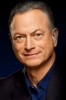 photo Gary Sinise (suara)